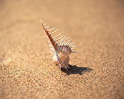 �����p�ʐ^